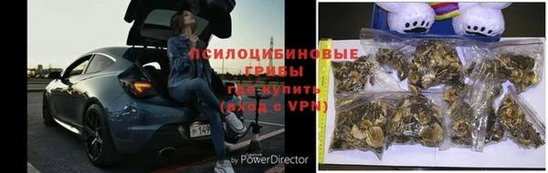 прущая мука Сосновоборск