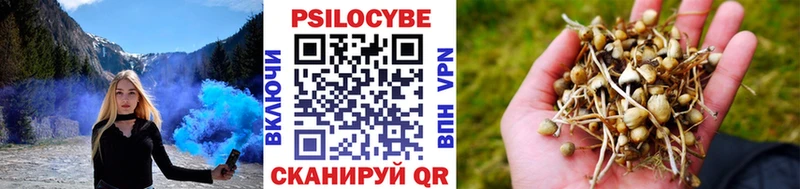 Галлюциногенные грибы прущие грибы  Чебоксары 