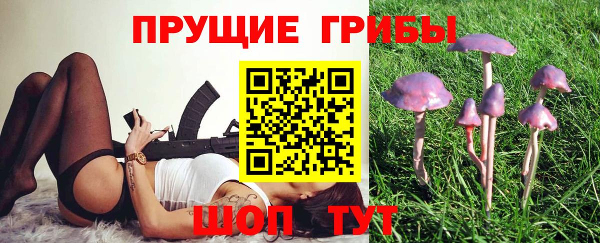 Галлюциногенные грибы Magic Shrooms  Чебоксары 