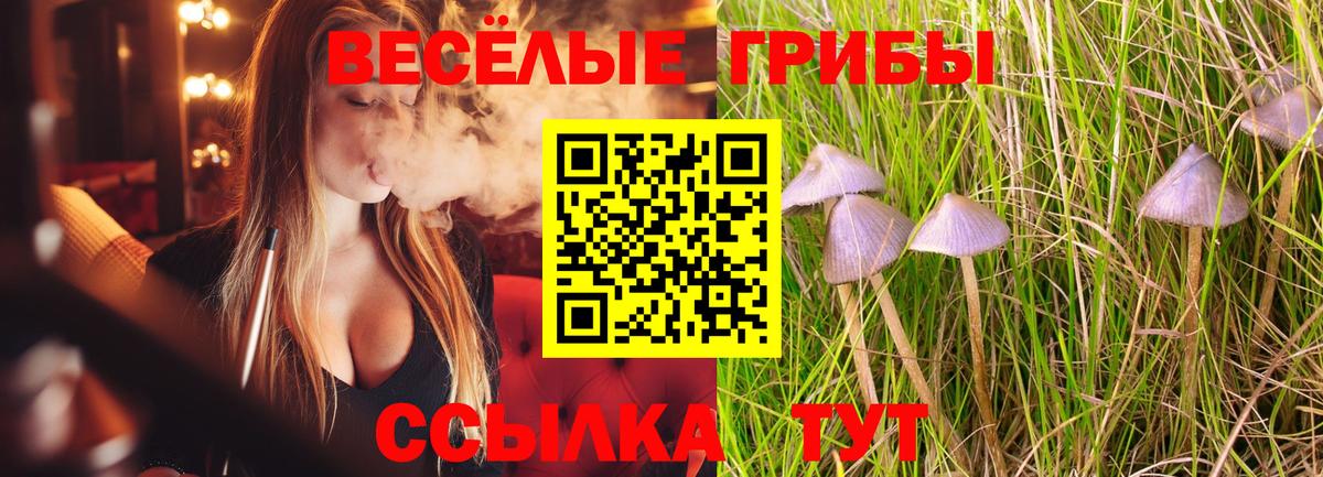 Псилоцибиновые грибы Magic Shrooms  Галлюциногенные грибы Cubensis  Вход с VPN  Чебоксары 