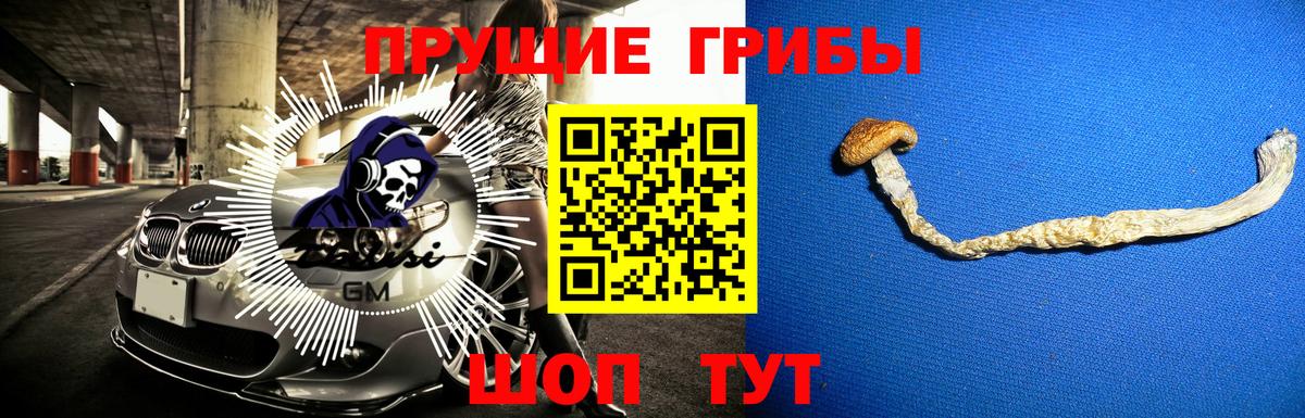 Галлюциногенные грибы GOLDEN TEACHER Чебоксары