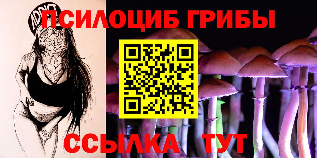 Псилоцибиновые грибы Psilocybine cubensis Чебоксары